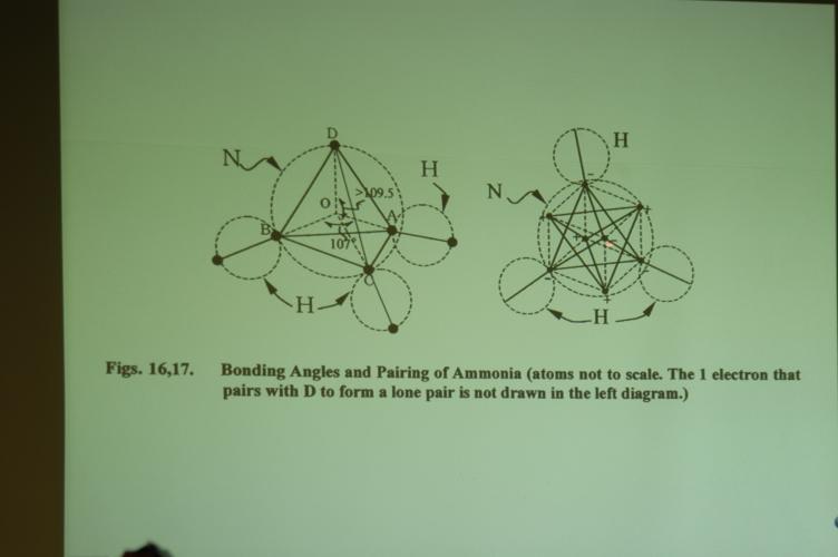 Full-Size (huge) Image