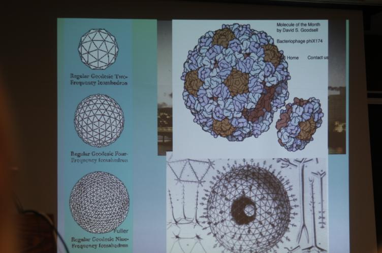 Full-Size (huge) Image
