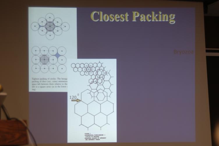 Full-Size (huge) Image
