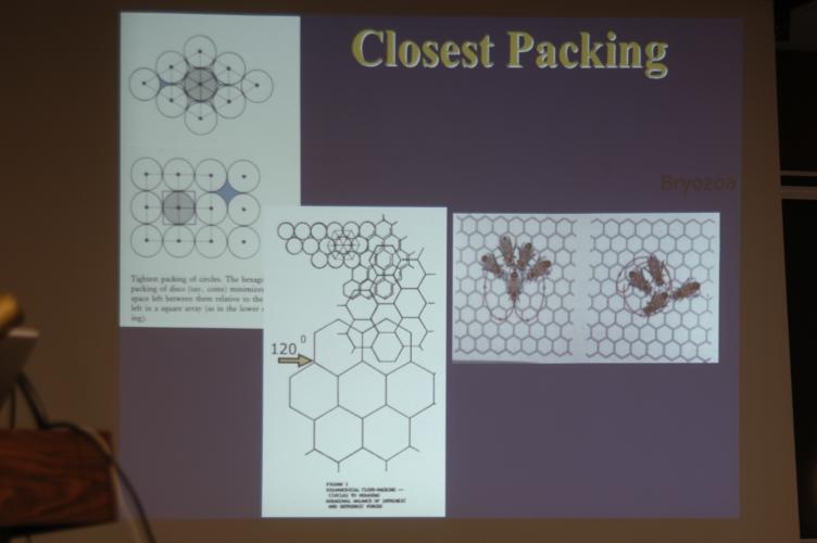 Full-Size (huge) Image