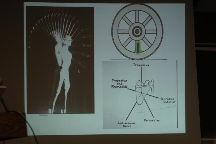 Full-Size (huge) Image
